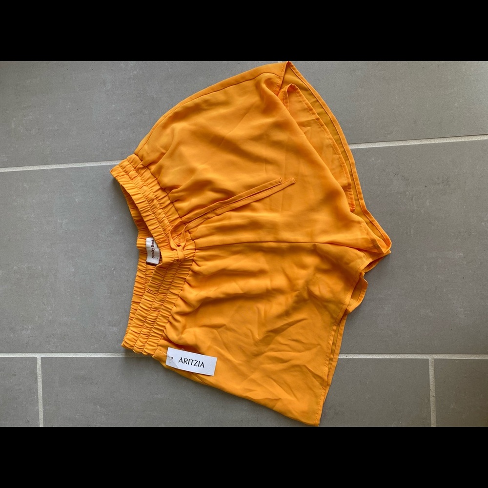 Aritzia Shorts - Sunday Best - Picture 1 of 5